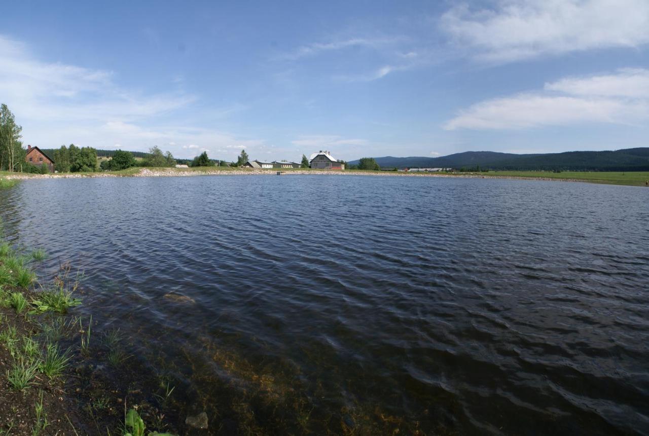Apartmán Orlické Záhoří Exterior foto